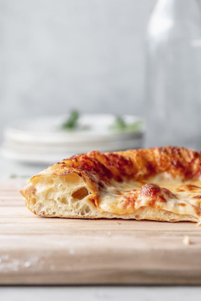 artisan pizza dough- crispy, chewy, bubbly crust